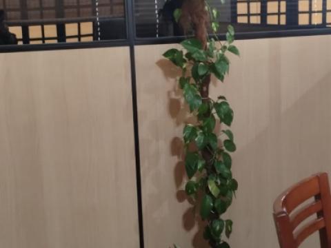 DIVISÓRIAS em Campinas e Região - Central Divisórias Forros e Persianas - Campinas - SP - 8